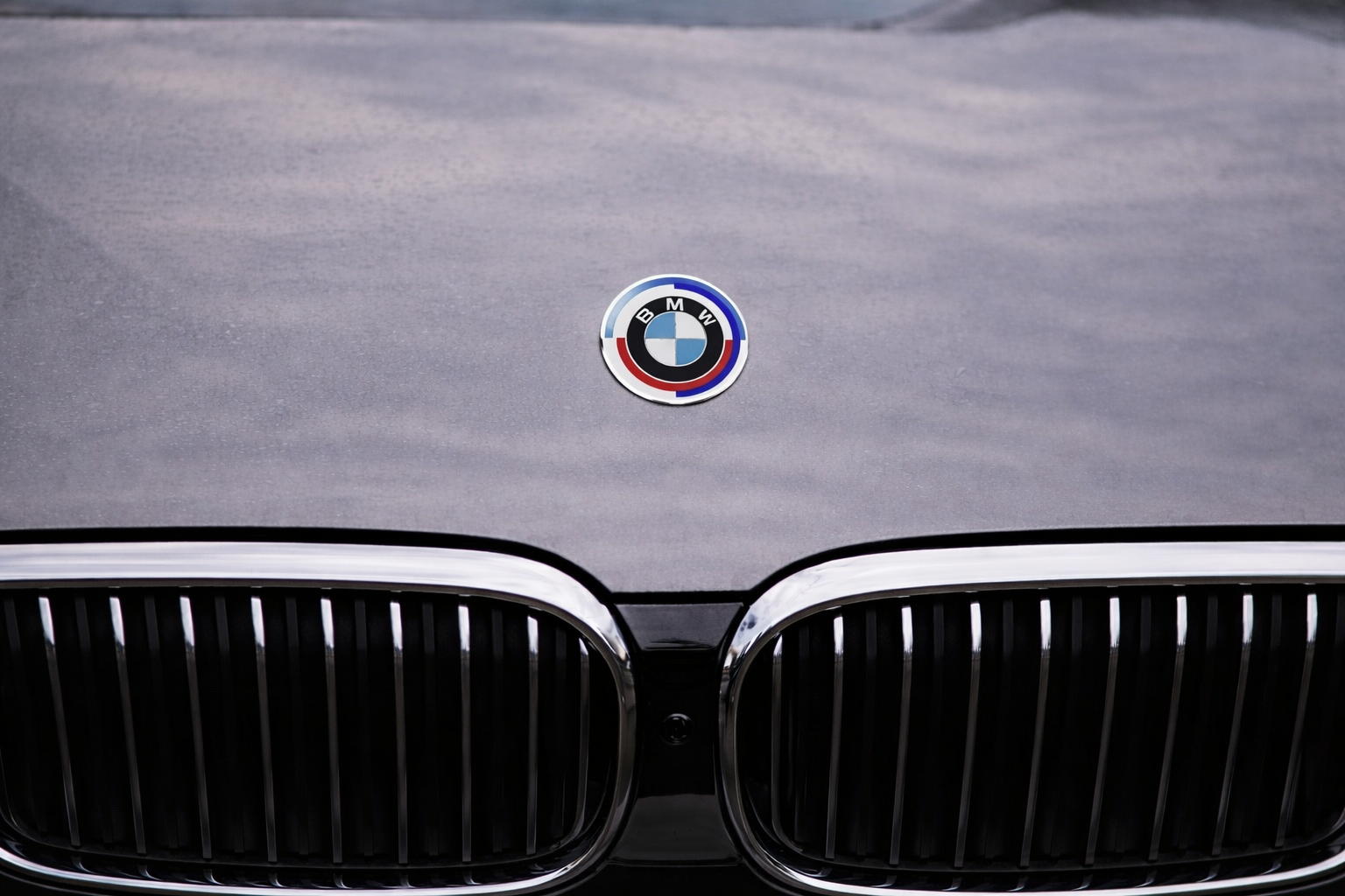 BMW 50th Anniversary Hood/Trunk Emblem